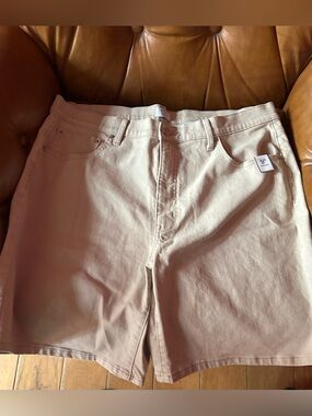 NWOT Time and tru shorts